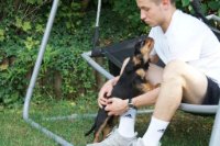 ein Bild aus dem Album